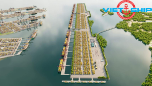 Hãng tàu MSC đầu tư xây dựng siêu cảng Cần Giờ Việt Nam