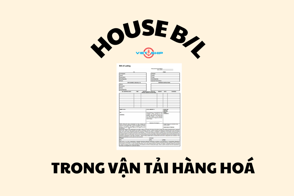 Các thông tin cần biết về House B/L trong vận tải hàng hoá đường biển