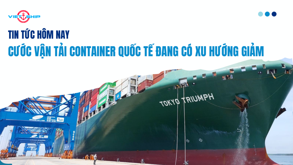 Cước vận tải container quốc tế đang có xu hướng giảm