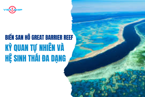 Biển San Hô Great Barrier Reef: Kỳ Quan Tự Nhiên và Hệ Sinh Thái Đa Dạng