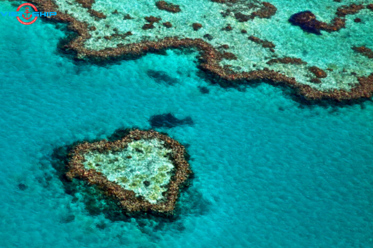 Biển San Hô Great Barrier Reef: Kỳ Quan Tự Nhiên và Hệ Sinh Thái Đa Dạng