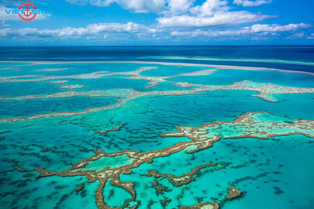 Biển San Hô Great Barrier Reef: Kỳ Quan Tự Nhiên và Hệ Sinh Thái Đa Dạng