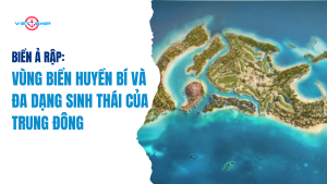 Biển Ả Rập: Vùng Biển Huyền Bí và Đa Dạng Sinh Thái Của Trung Đông