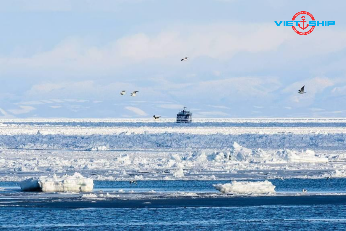 Biển Okhotsk: Đặc Điểm Tự Nhiên, Hệ Sinh Thái và Giá Trị Kinh Tế