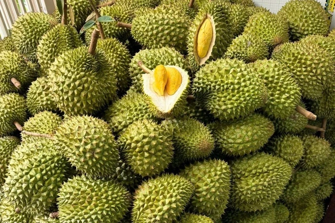 Dịch Vụ Vận Chuyển Sầu Riêng Từ Bình Dương Đi Thái Lan