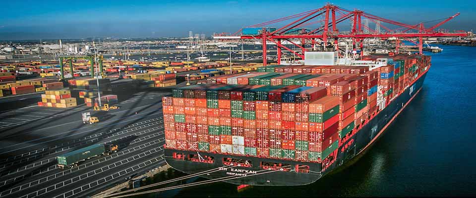 Sea Freight Service: Medical Equipment Shipping from Singapore to Vietnam
