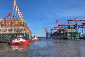 LCL Sea Freight Service from Hai Phong to Hamburg