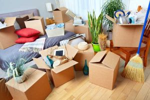 Dịch Vụ Vận Chuyển Đồ Nội Thất Đi Mỹ Bằng Đường Biển