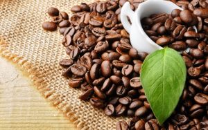 Sea Freight Coffee Shipping from Vietnam to Canada