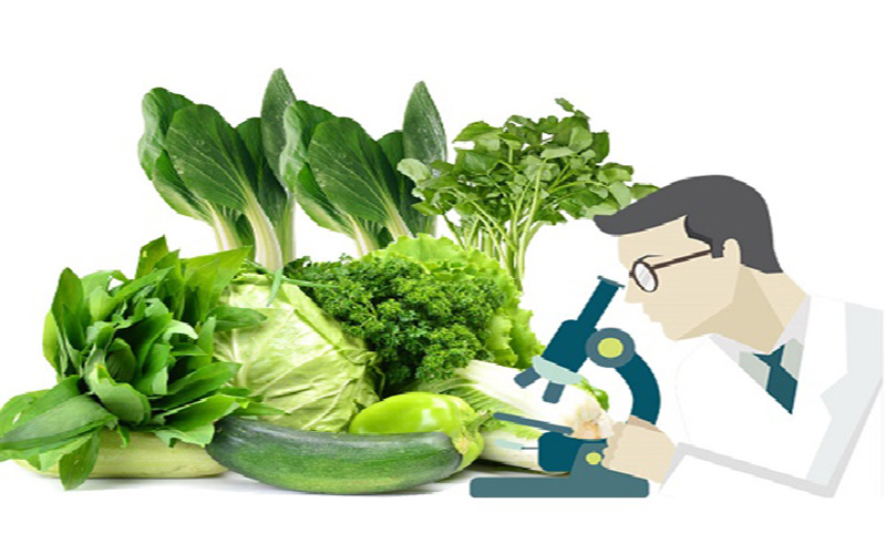 Dịch Vụ Làm Kiểm Dịch Thực Vật – Hỗ Trợ Xuất Khẩu Nông Sản Nhanh Chóng & Hợp Pháp