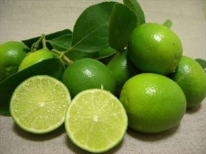 Dịch vụ vận chuyển chanh tươi bằng đường biển đi Singapore