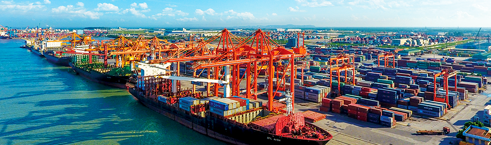 Turning Hai Phong into a Logistics Powerhouse: Strategic Vision and Development Path