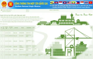 Khi khai sai Manifest, cần phải xử lý như thế nào?