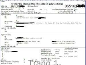 Nộp Chậm Tờ Khai Hải Quan: Doanh Nghiệp Cần Làm Gì?
