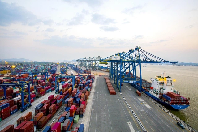 Cửa Lò – Dongguan: New International Container Route Enters Operation