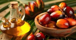 Dịch vụ vận chuyển dầu cọ từ Indonesia về Việt Nam bằng đường biển