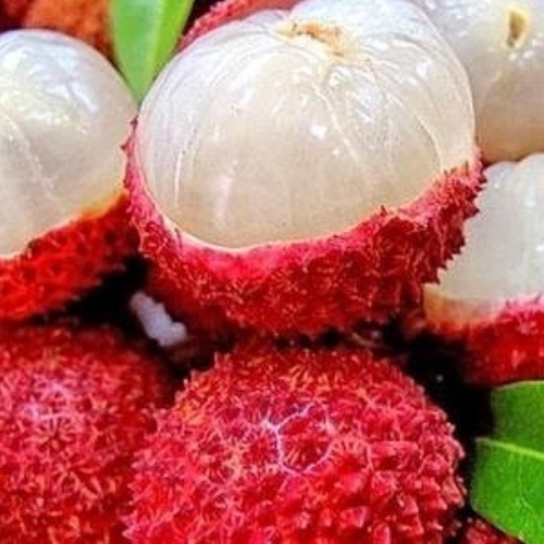 Vận Chuyển Vải Thiều Đi Thâm Quyến Bằng Đường Biển Nhanh Chóng, Tiết Kiệm