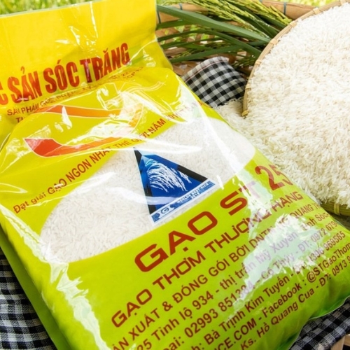 Xuất Khẩu Gạo ST25 Sang Mỹ – Đưa Đặc Sản Việt Vươn Xa Quốc Tế