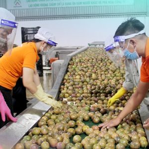 Hướng Dẫn Đăng Ký Cơ Sở Sản Xuất Thực Phẩm Xuất Khẩu Sang Trung Quốc Năm 2026