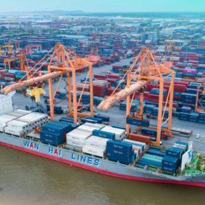 Phân Biệt Consignee Và Notify Party Trong Xuất Nhập Khẩu