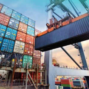 Hàng Bị Lưu Container Phải Xử Lý Thế Nào? Giải Pháp Giảm Thiểu Chi Phí Hiệu Quả