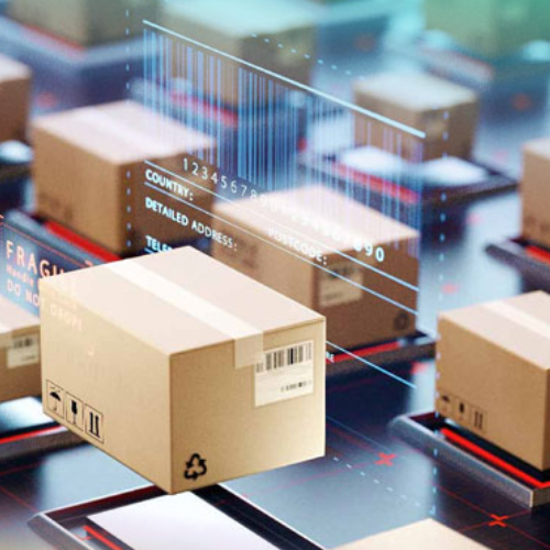 Vận Chuyển Hàng Lẻ LCL Từ Ningbo Về Hồ Chí Minh Nhanh Chóng