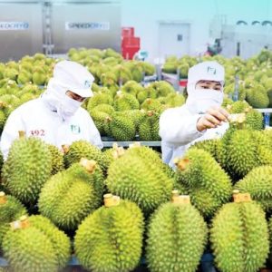 Hướng Dẫn Đăng Ký Cơ Sở Sản Xuất Thực Phẩm Xuất Khẩu Sang Trung Quốc Theo Quy Định Mới