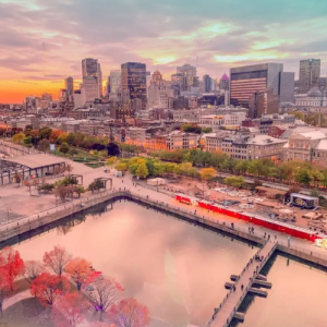 Dịch Vụ Vận Chuyển Hàng LCL Đi Montreal Trọn Gói Và Giá Rẻ